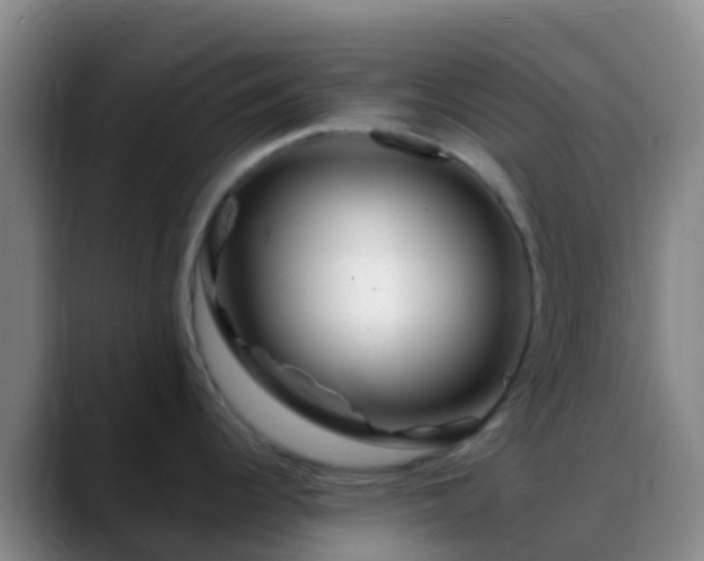 X0000088901344200706151841