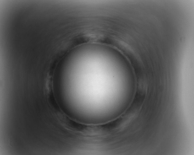 X0000088901346200706151840