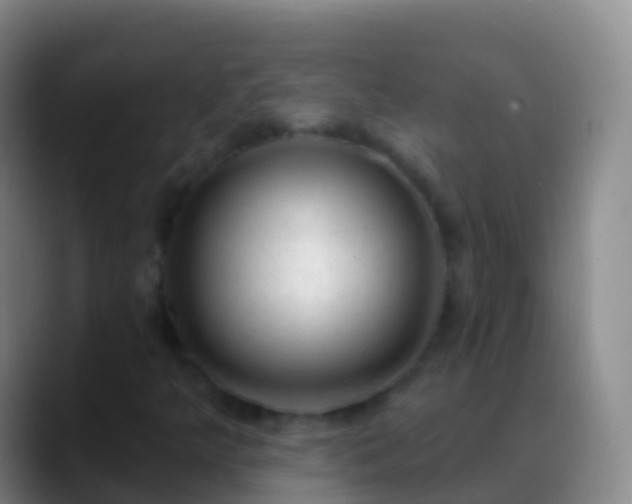 X0000088901349200706151840