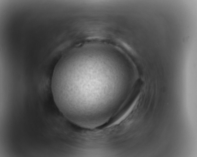 X0000088901351200706151840