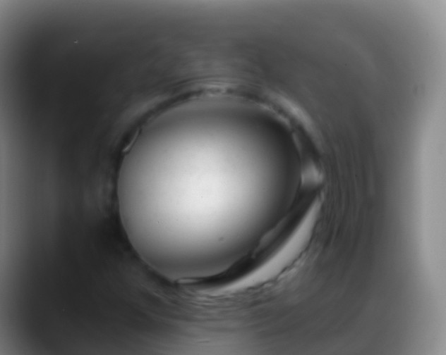 X0000088901352200706151840