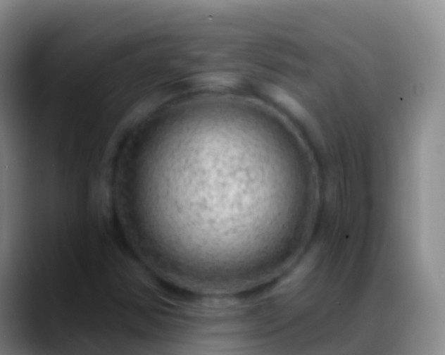 X0000088901354200706151840