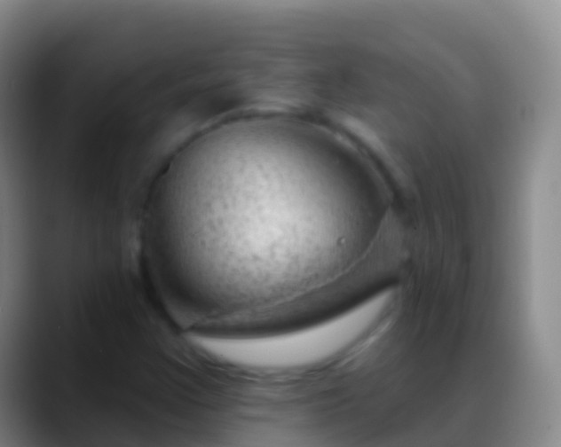 X0000088901355200706151840
