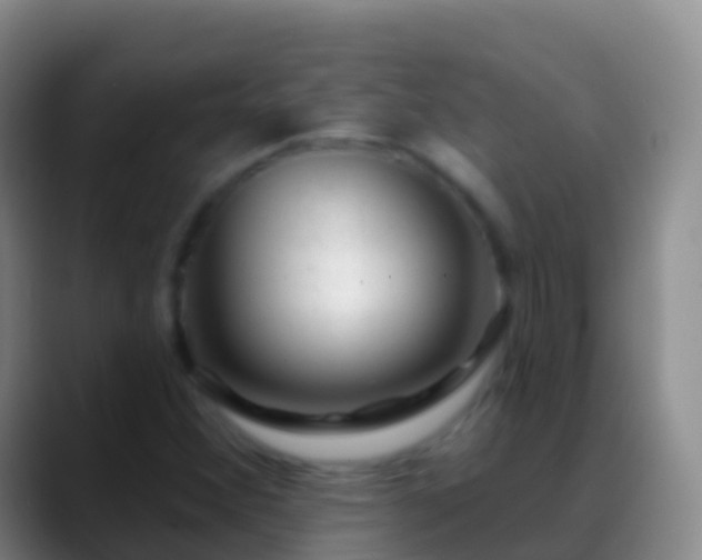 X0000088901356200706151840