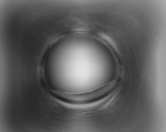 X0000088901357200706151840