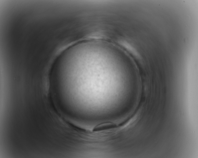 X0000088901358200706151840