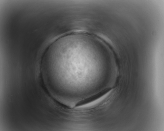 X0000088901359200706151840