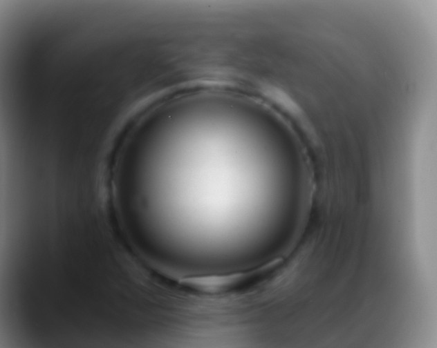 X0000088901360200706151840