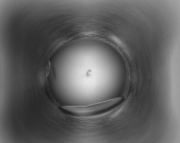 X0000088901361200706151840