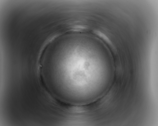X0000088901362200706151840