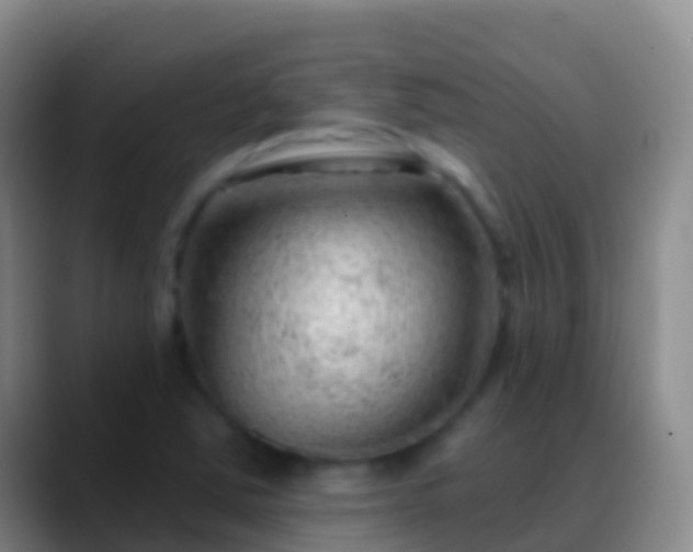 X0000088901363200706151840