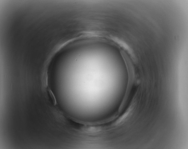 X0000088901365200706151840
