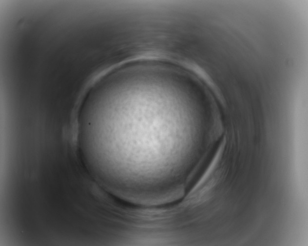 X0000088901366200706151840