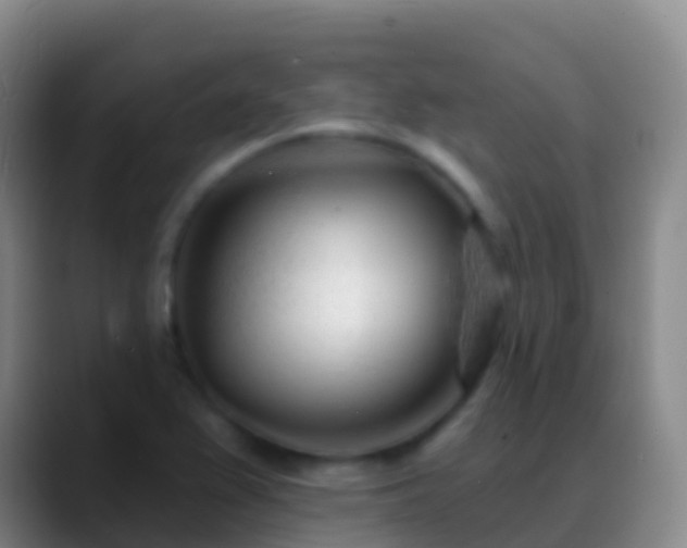 X0000088901367200706151840