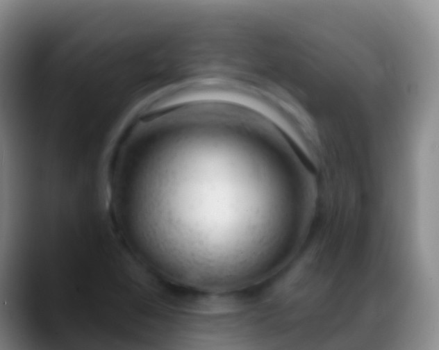 X0000088901368200706151840