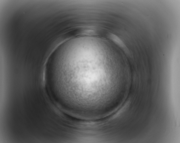 X0000088901370200706151840