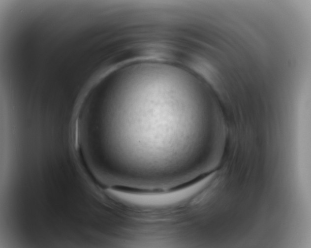 X0000088901371200706151840