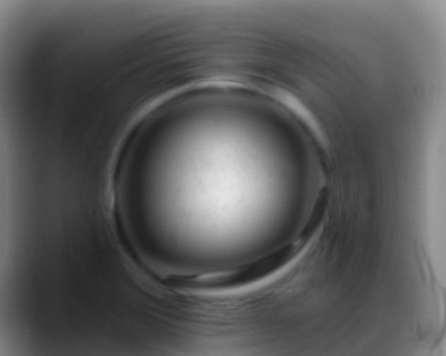 X0000088901372200706151840