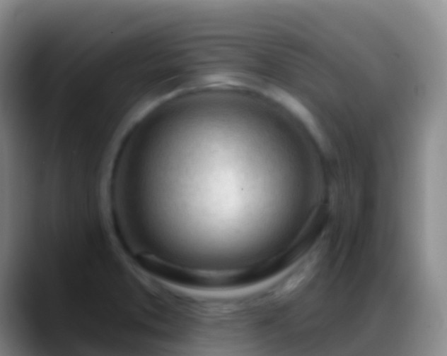 X0000088901373200706151840