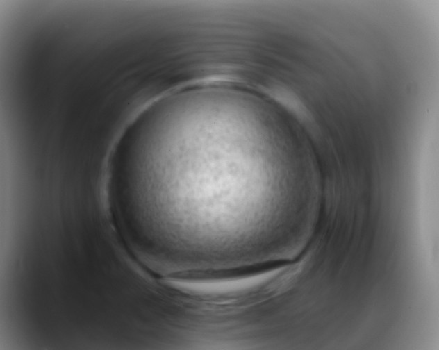 X0000088901374200706151840