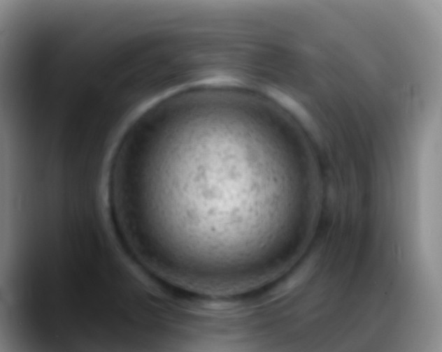 X0000088901375200706151840
