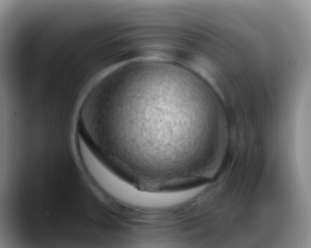 X0000088901379200706151840