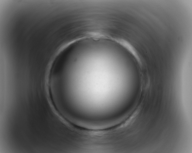 X0000088901381200706151840