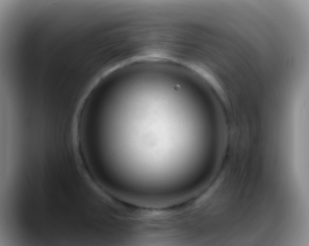 X0000088901382200706151840