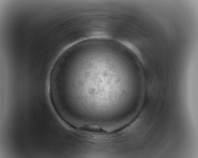 X0000088901383200706151840