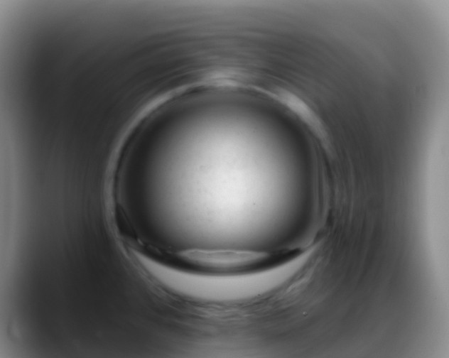 X0000088901384200706151840