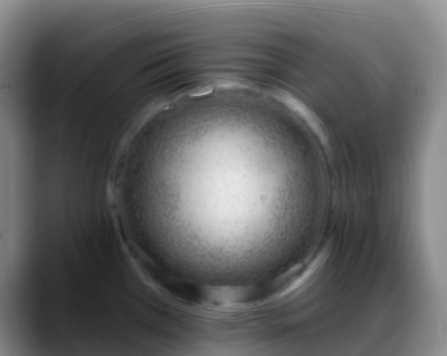 X0000088901385200706151840