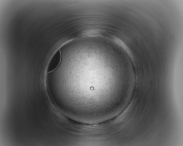 X0000088901386200706151840