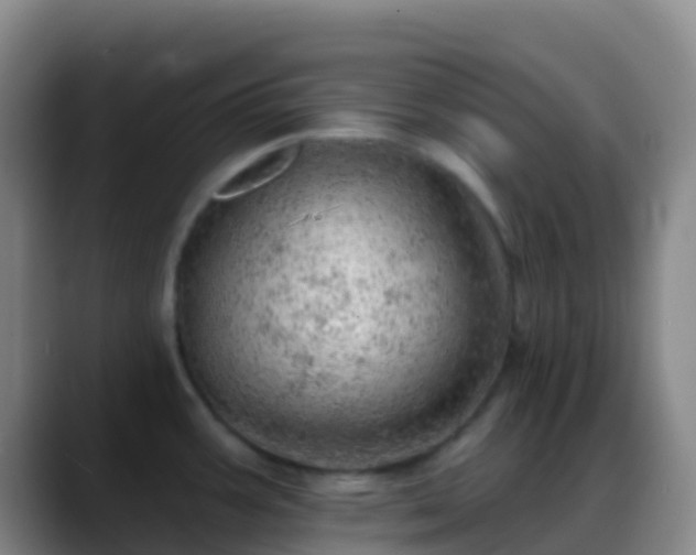 X0000088901387200706151840