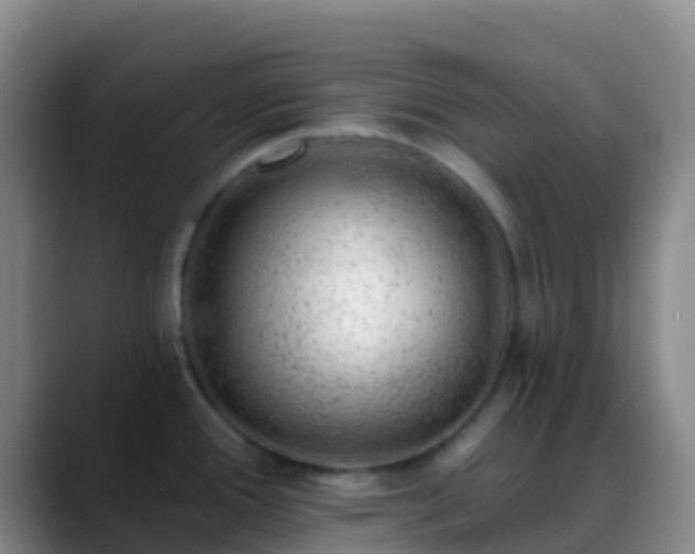 X0000088901388200706151840