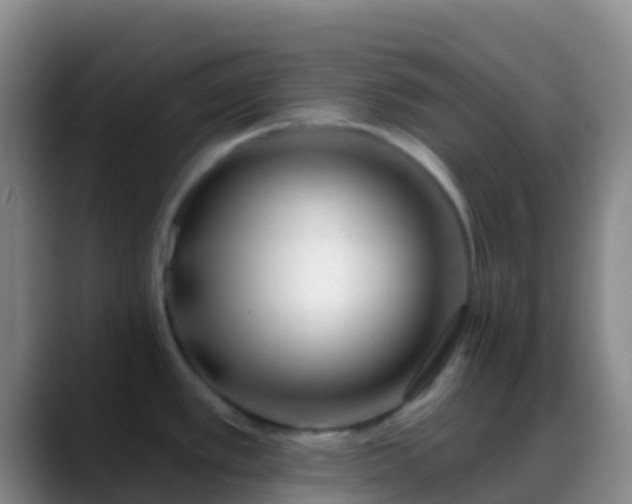 X0000088901389200706151840