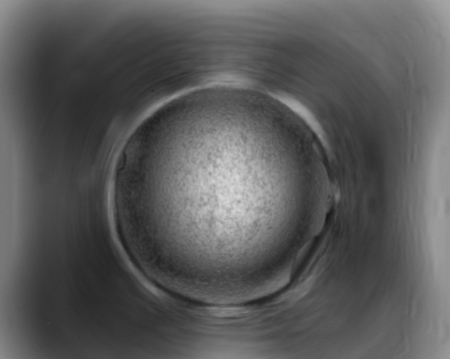 X0000088901391200706151840