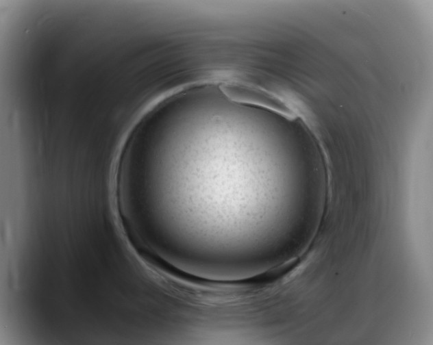 X0000088901392200706151840