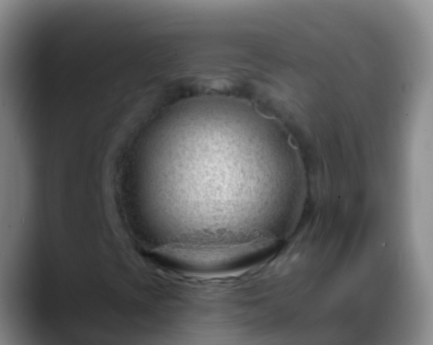 X0000088901393200706151839