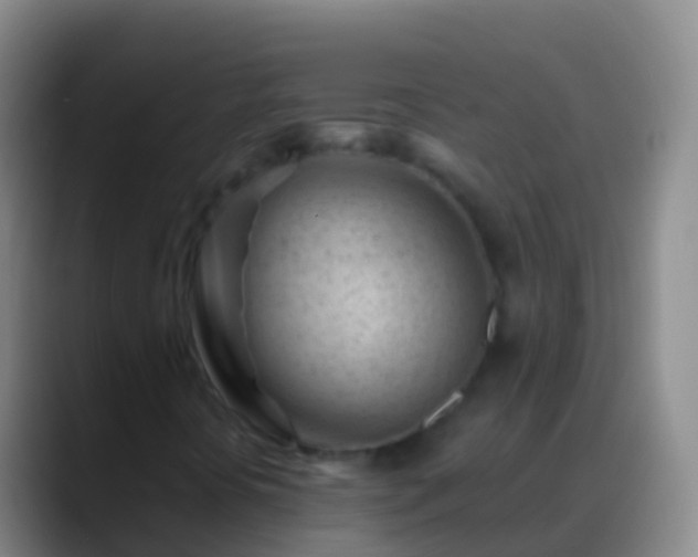 X0000088901394200706151839