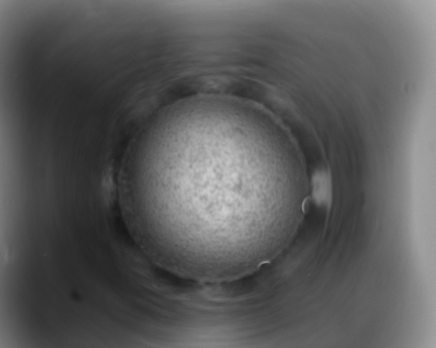 X0000088901395200706151839