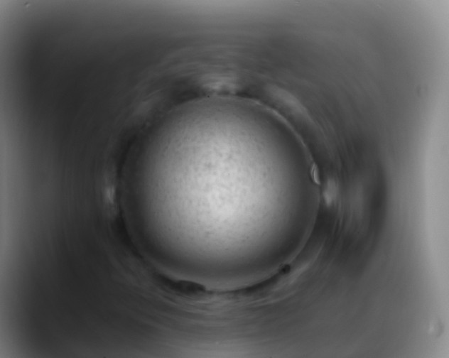 X0000088901396200706151839
