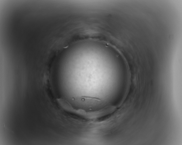 X0000088901397200706151839