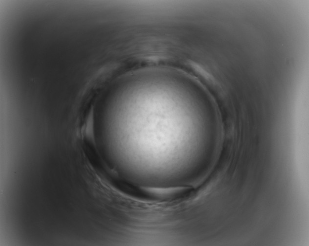 X0000088901398200706151839