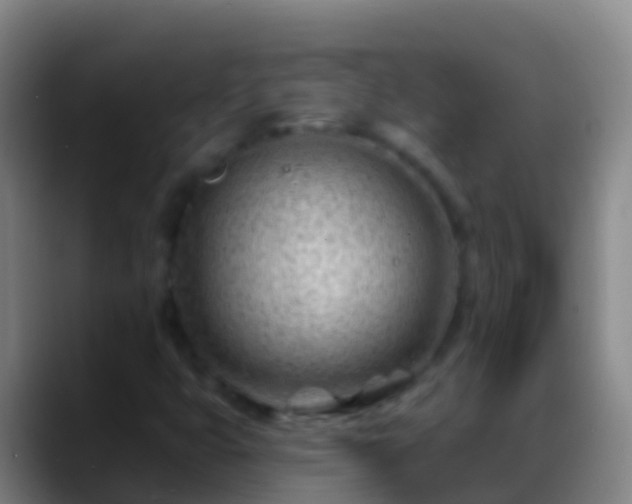X0000088901399200706151839