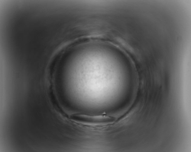 X0000088901400200706151839