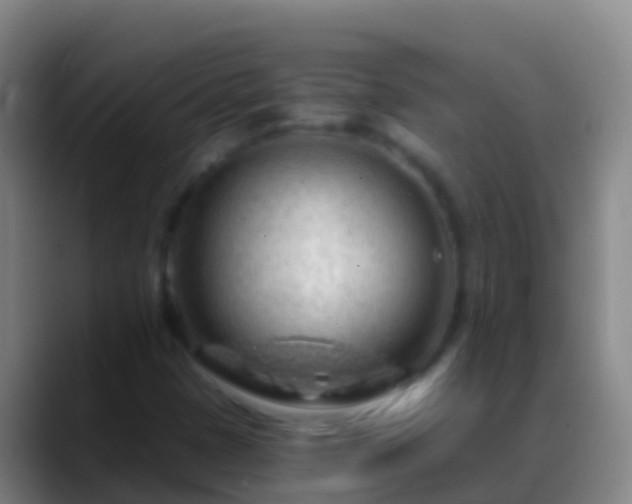 X0000088901401200706151839