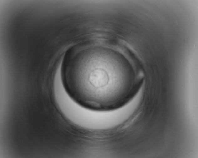 X0000088901402200706151839