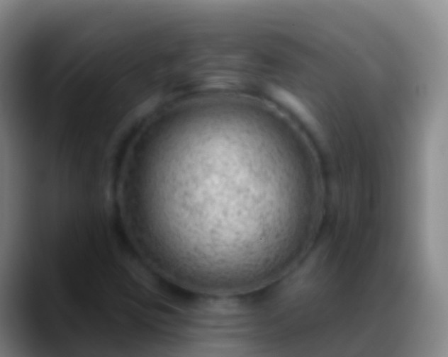 X0000088901403200706151839