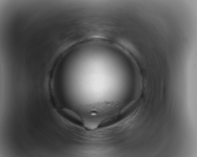 X0000088901404200706151839