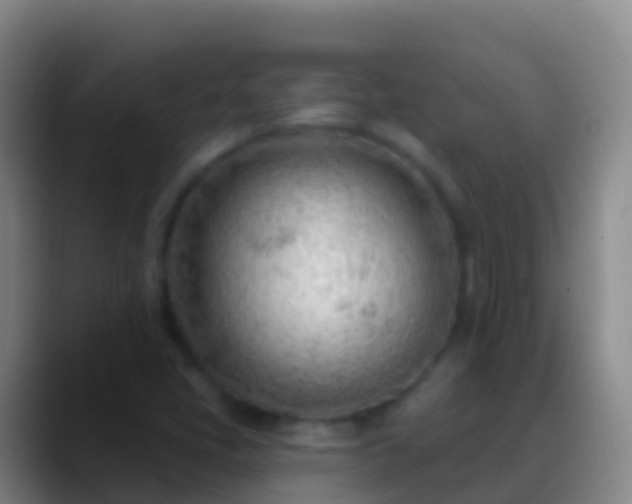 X0000088901405200706151839
